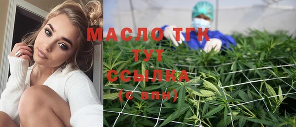 шишки Чегем