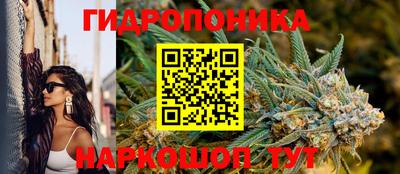 спиды Кинель