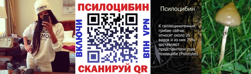 Псилоцибиновые грибы GOLDEN TEACHER  наркошоп  Нижний Тагил 