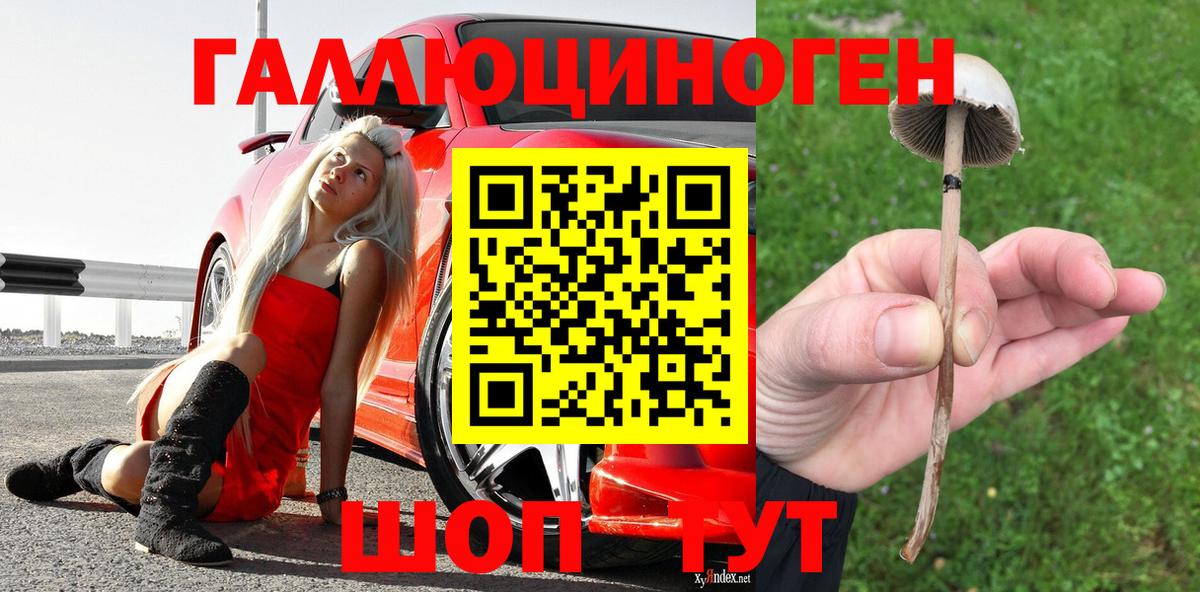 Псилоцибиновые грибы MAGIC MUSHROOMS  Галлюциногенные грибы Psilocybine cubensis  Вход с VPN  Нижний Тагил 